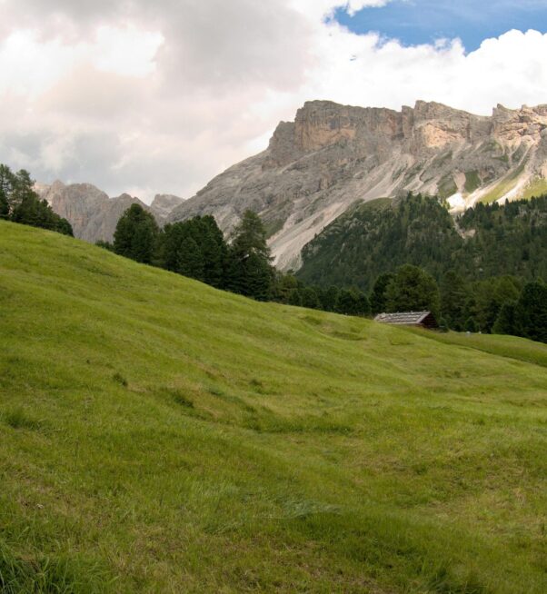 Mantemento de fincas e montes en Lugo