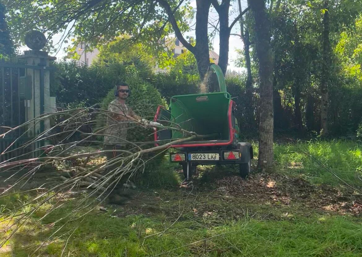 trituradora-de-arboles