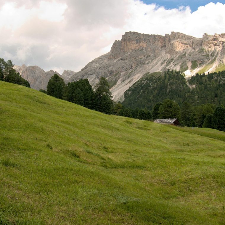 Mantemento de fincas e montes en Lugo
